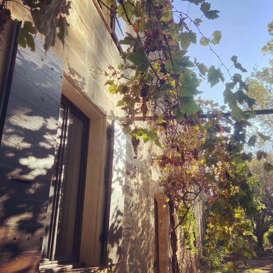 Domaine Cap Rubis Acomodação com café da manhã Paradou Exterior foto