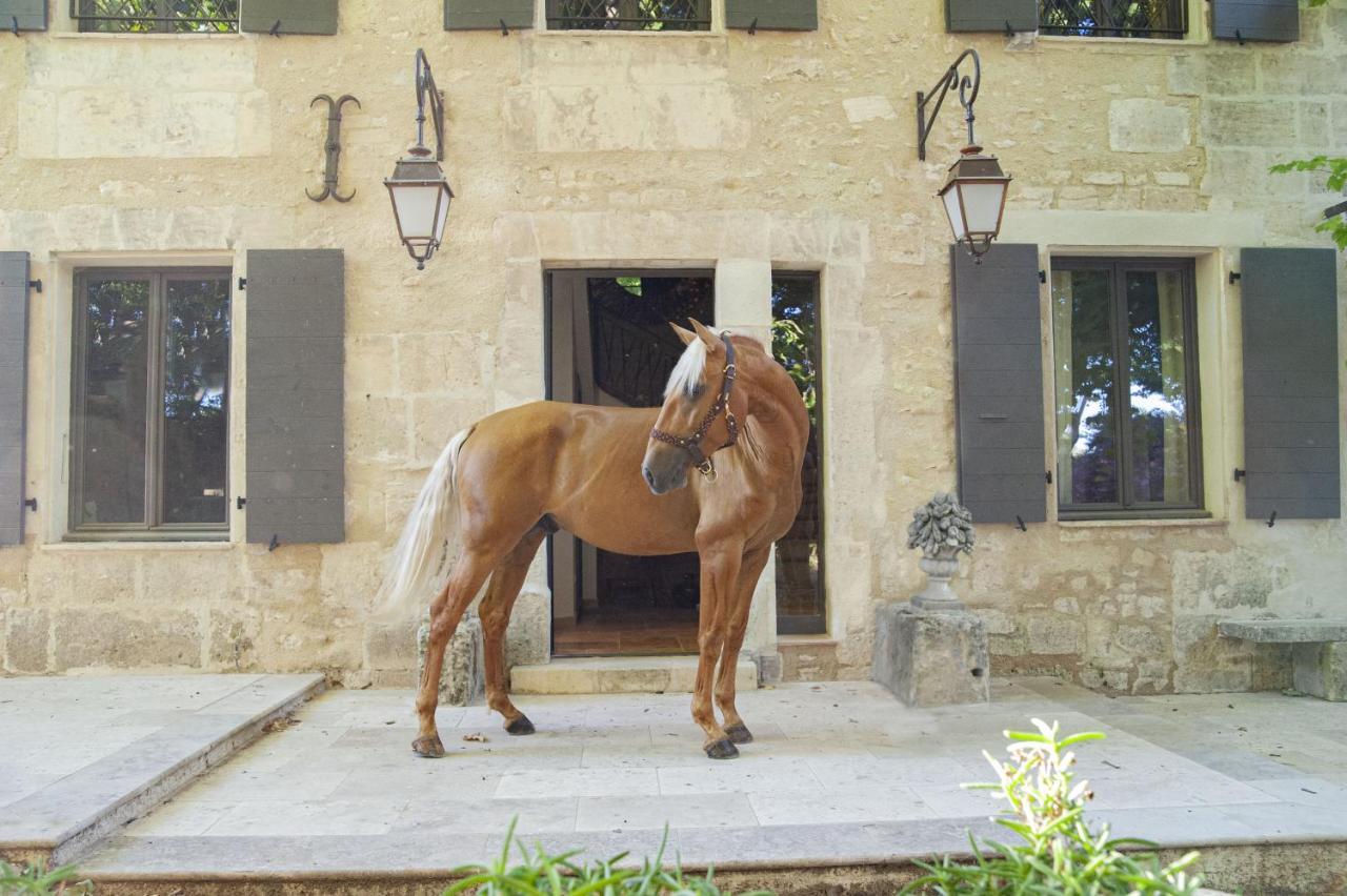 Domaine Cap Rubis Acomodação com café da manhã Paradou Exterior foto